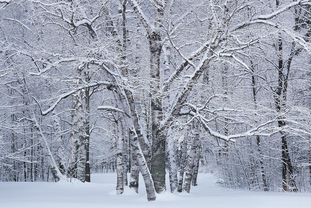 Winter Wonderland Traveler Photo Contest National Geographic