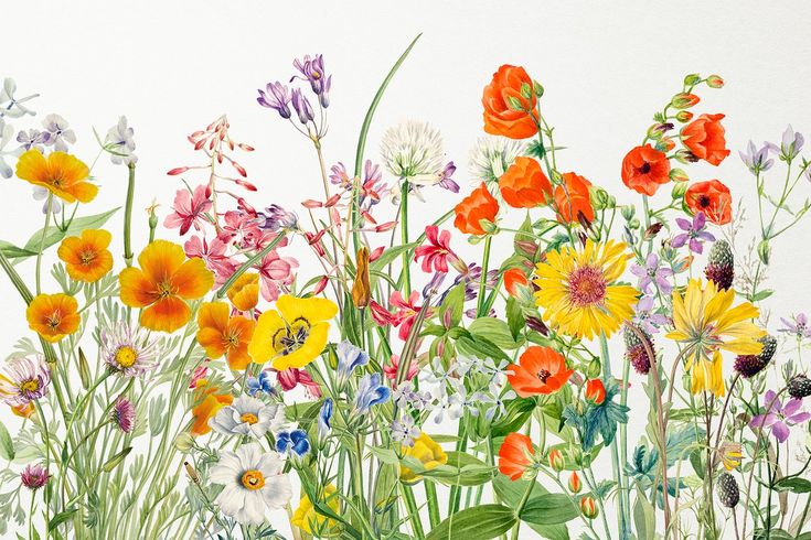 Vintage Wildflowers Wallpaper
