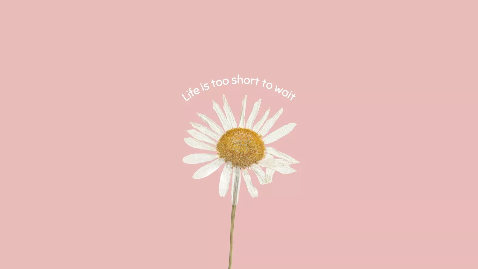 Life Quotes Wallpaper
