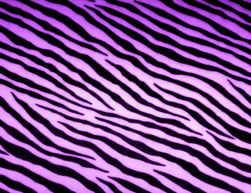 Zebra Stripes Background Colorful