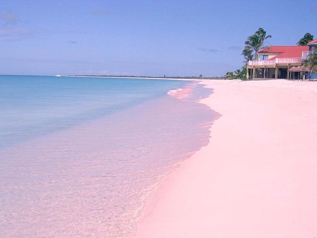 35 Bahamas Pink Sand Beach Wallpapers   Download at WallpaperBro