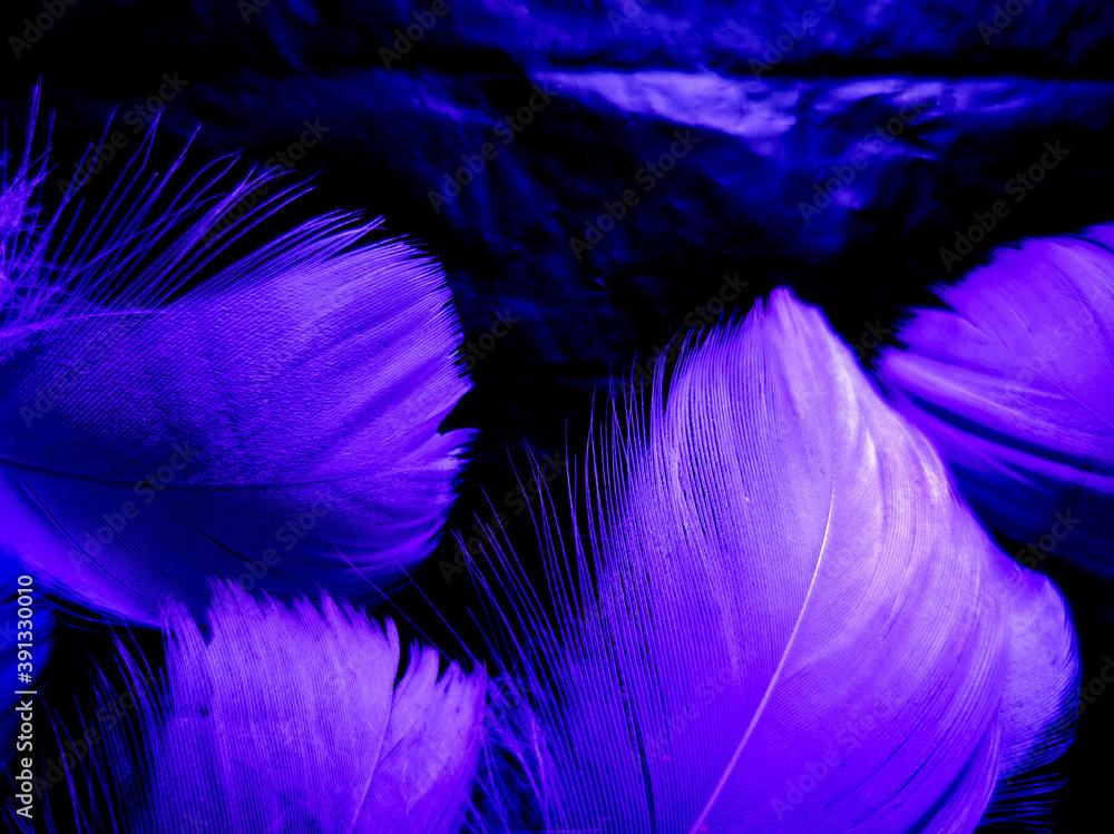 Beautiful Abstract Purple Feathers On Dark Background Blue