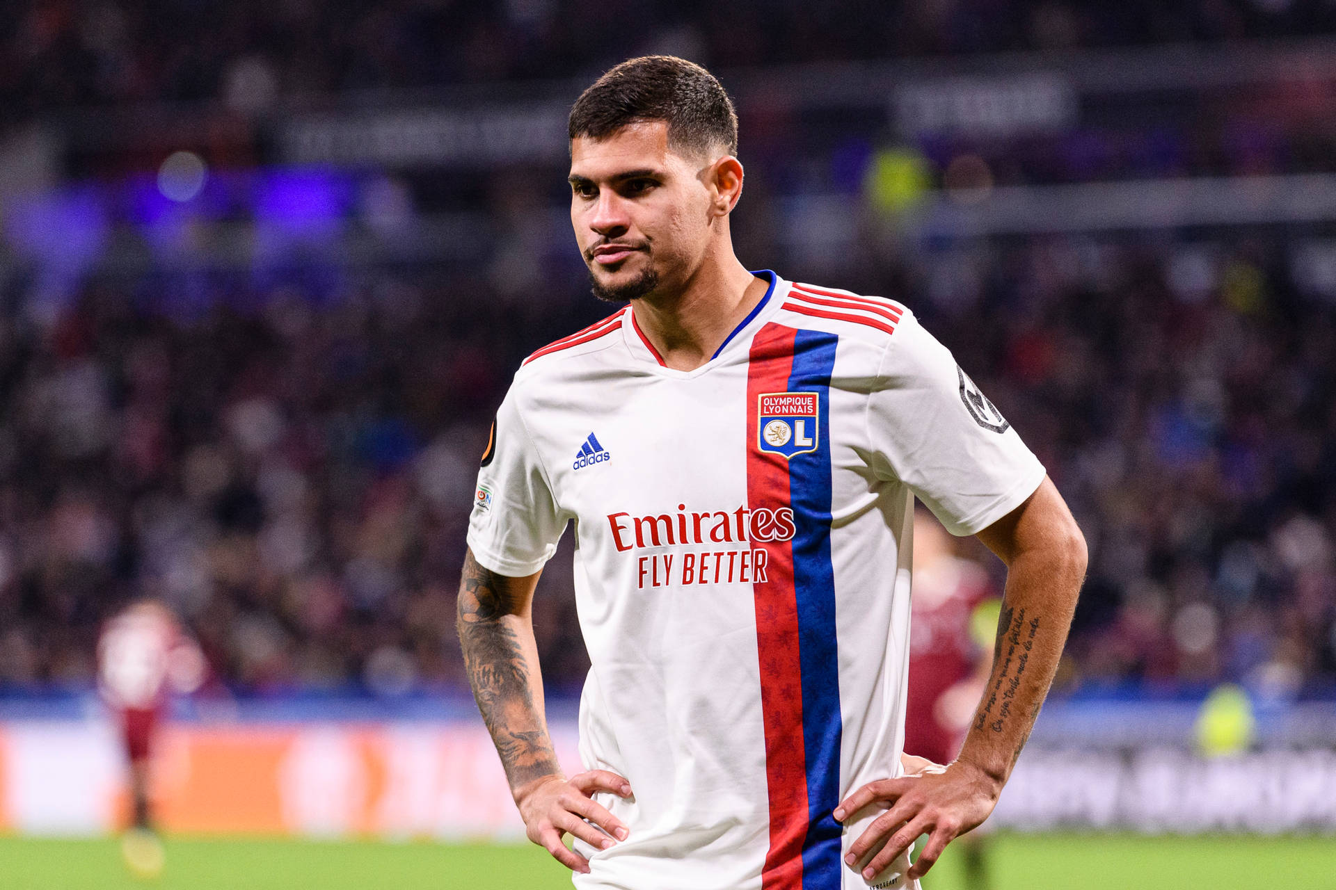 Bruno Guimar Es Hands On Hips Wallpaper