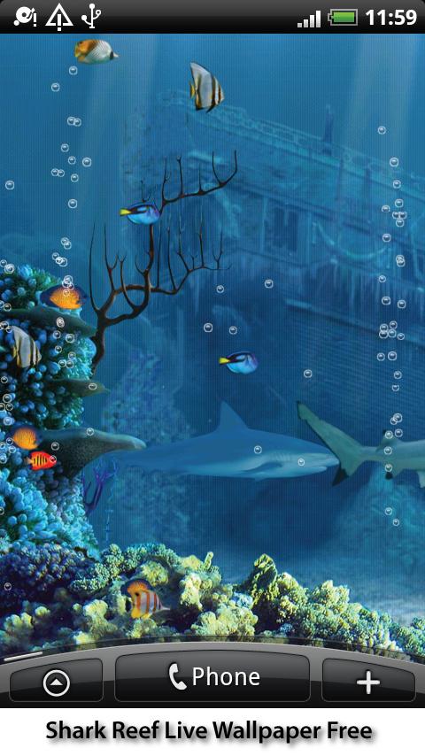 Shark Reef Live Wallpaper Free   Android Apps on Google Play
