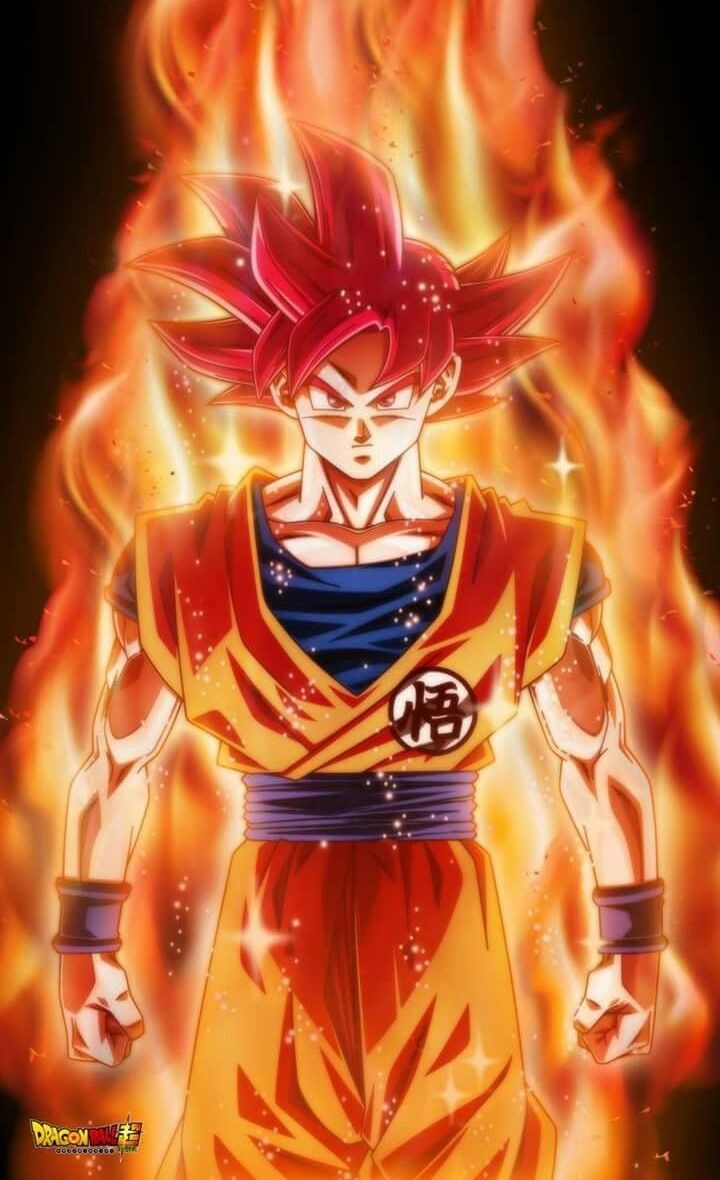 Super Saiyan God Goku Dragon Ball Anime