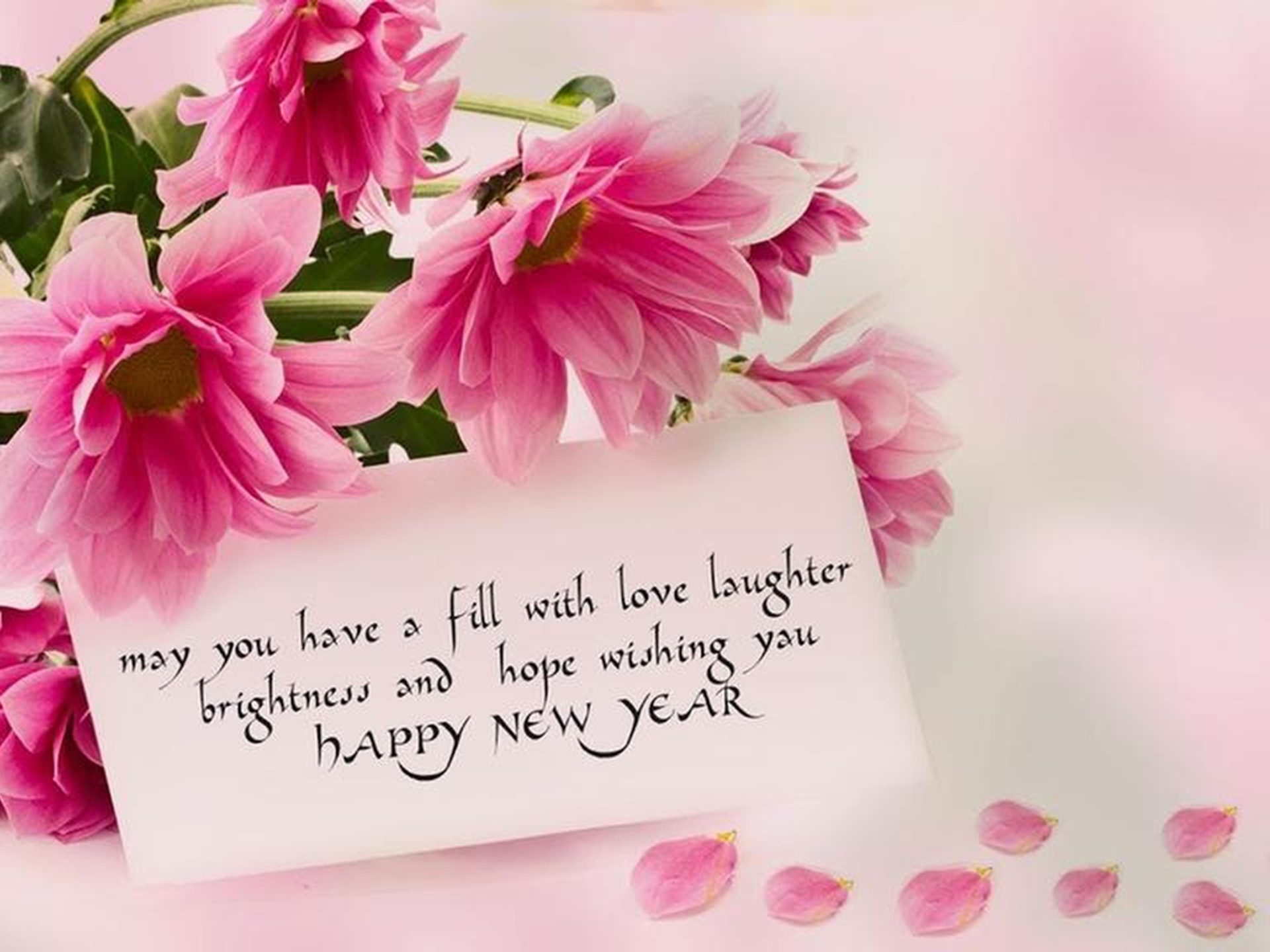 Free Download Happy New Year 2020 Rose Flowers Love Wallpapers Hd