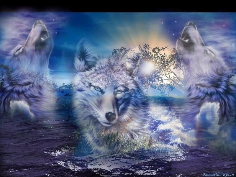 Wolves Image Wallpaper Photos