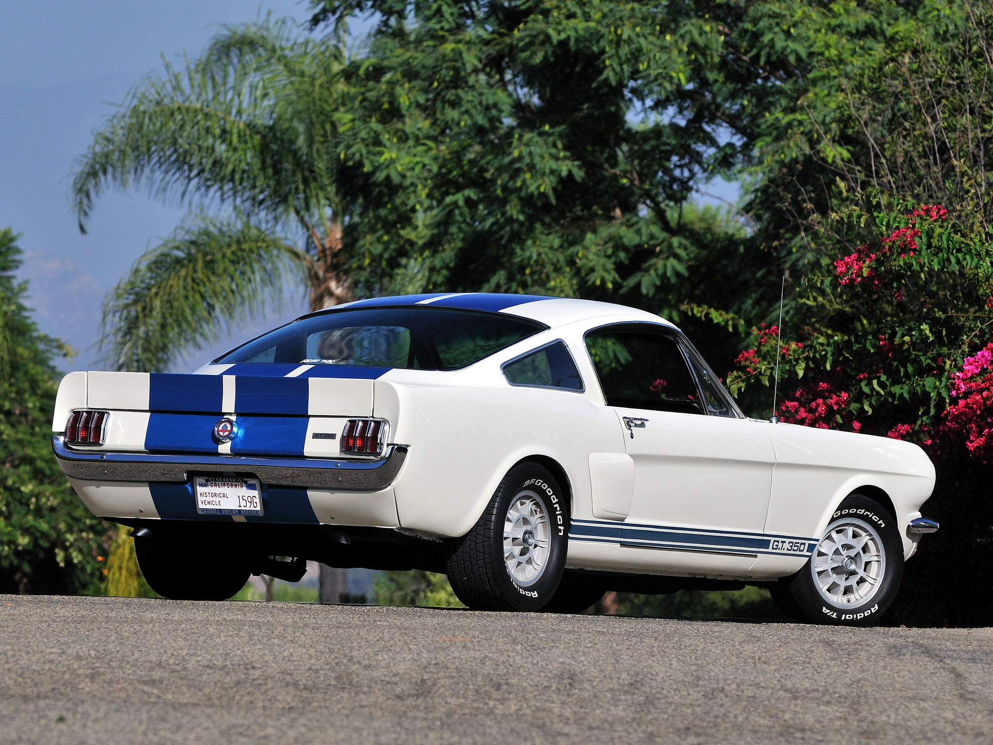 Shelby Gt350 Ford Mustang Classic Muscle Gd Wallpaper
