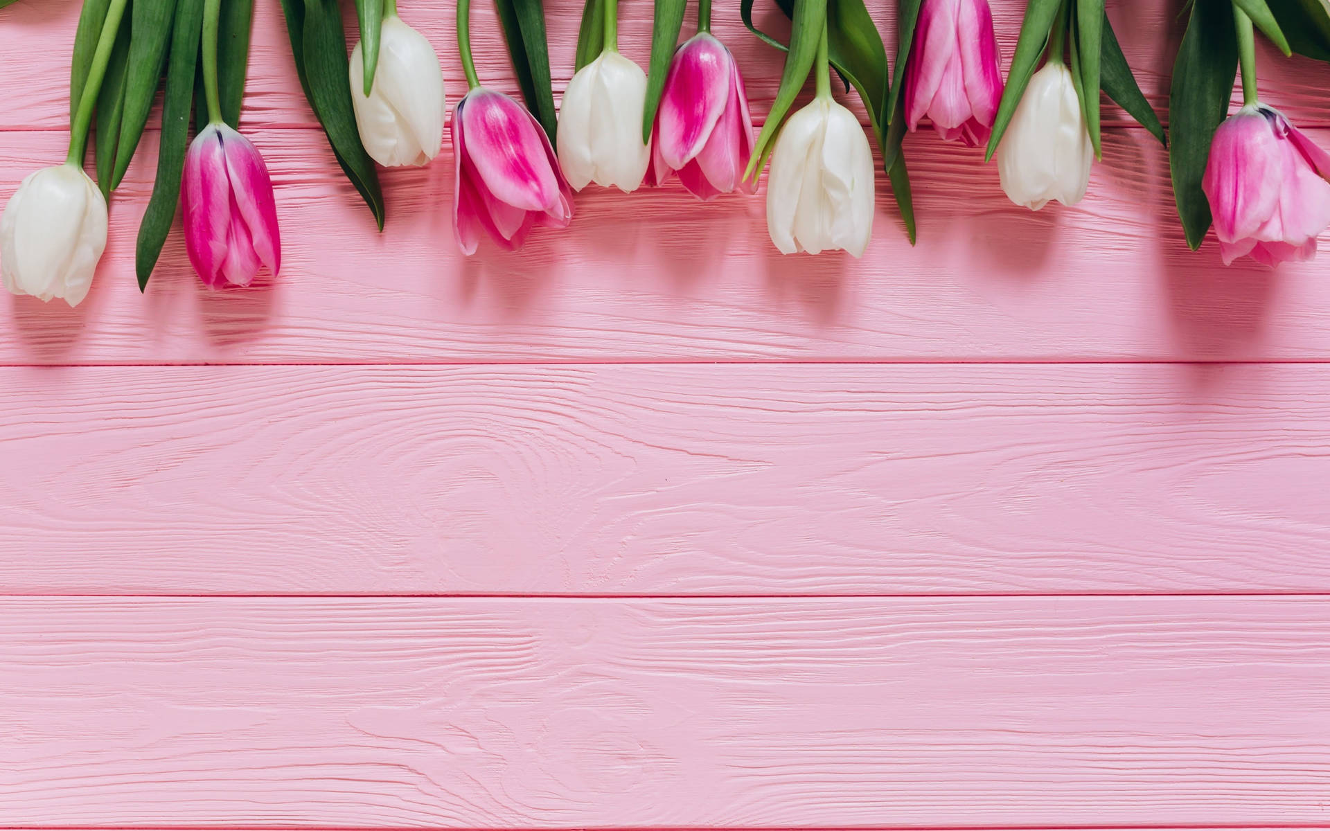 Neon Pink Aesthetic Wallpaper