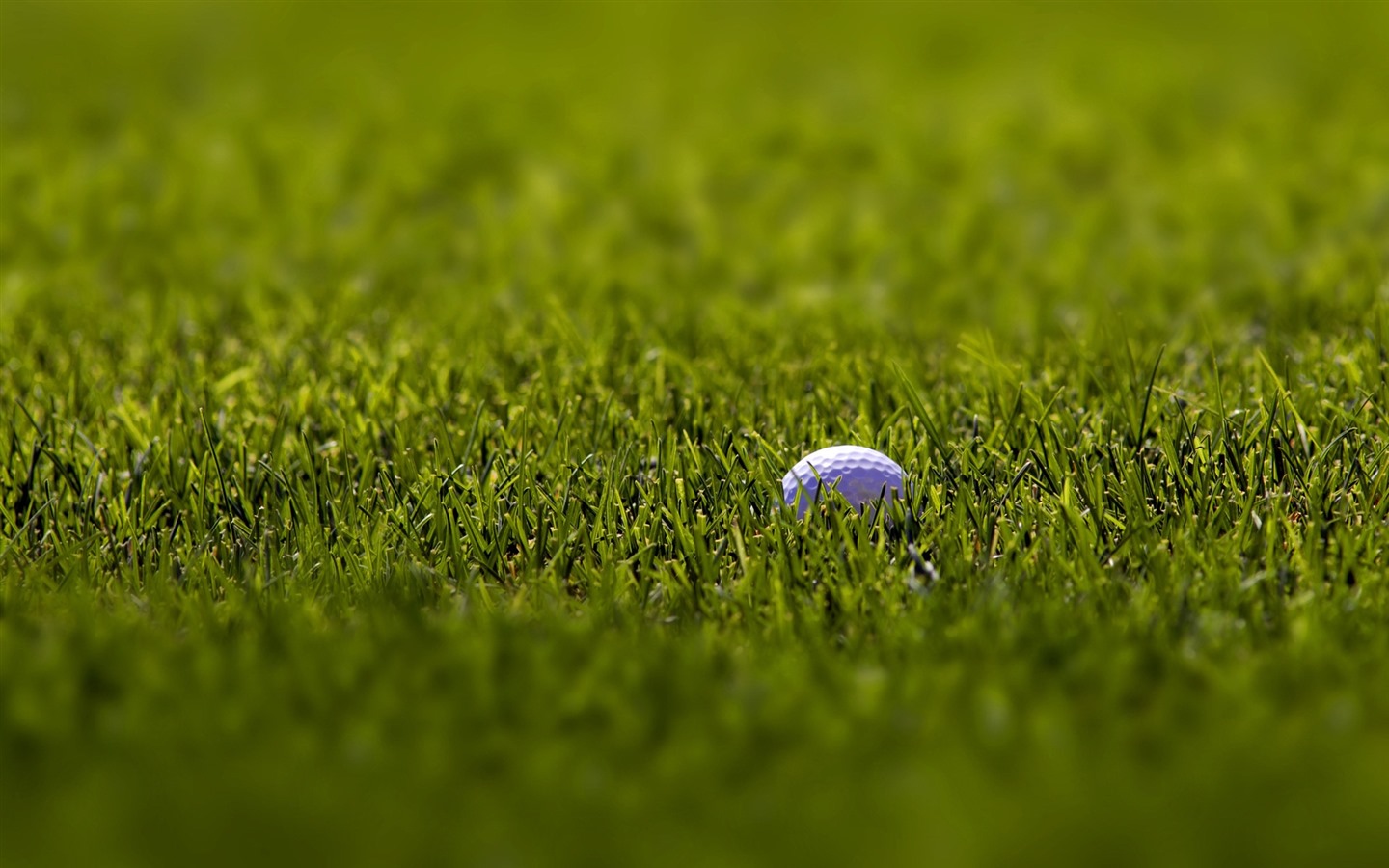 Golf Green Grass Space Widescreen HD Wallpaper