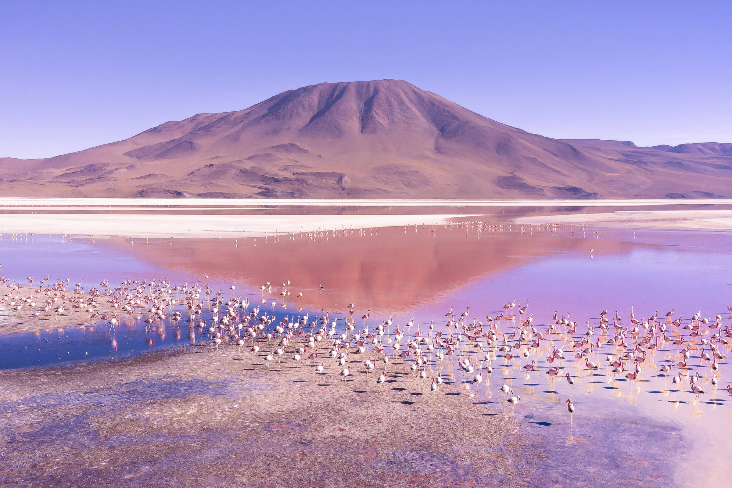 Free Download Majestic Laguna Colorada In South America Wallpaper By top-3-most-deadly-episodes-triple-episode-fbi-files-here-are-some