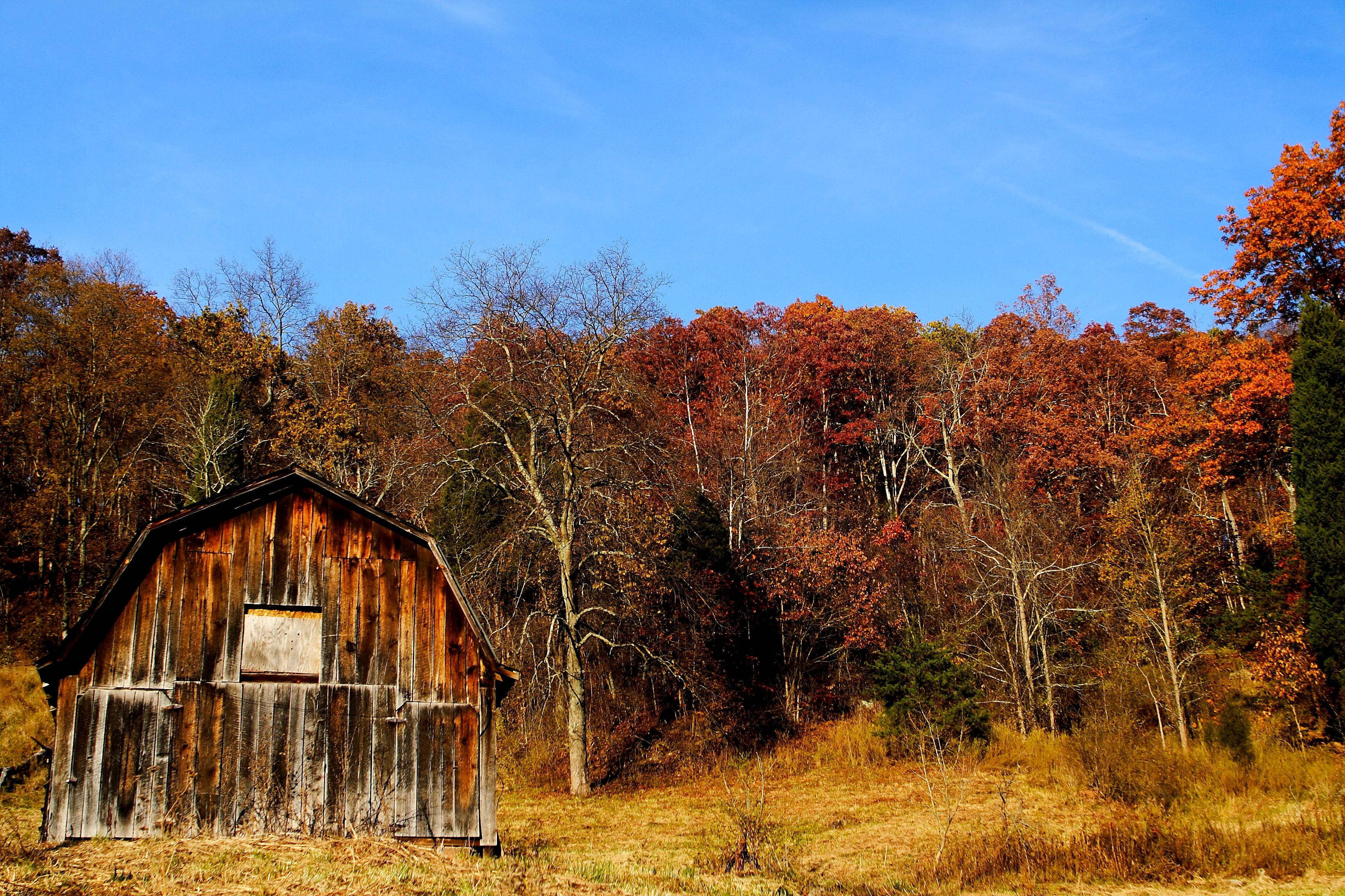 Autumn Country Barn Fall Leaves Sky Structures Nature Pictures