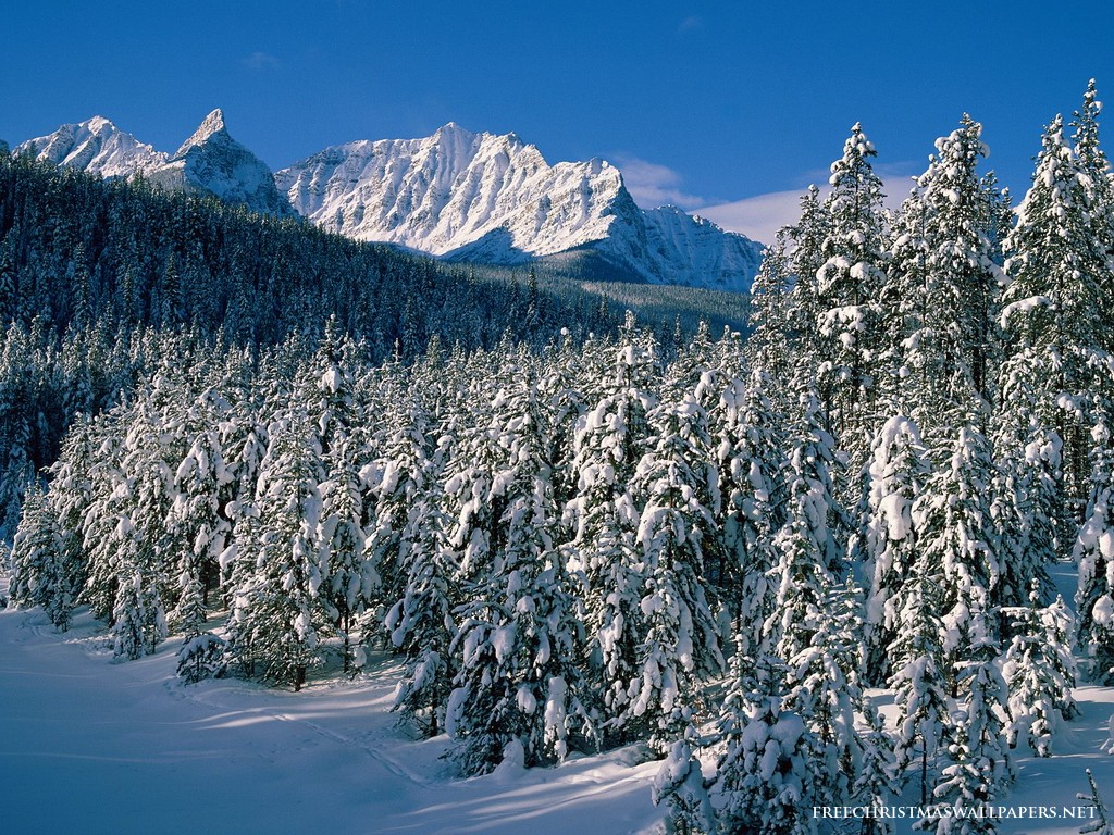 Christmas Mountains Alberta