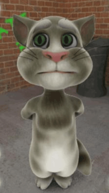 Android Funny Cat Cool Animated Wallpaper For Your Mobile