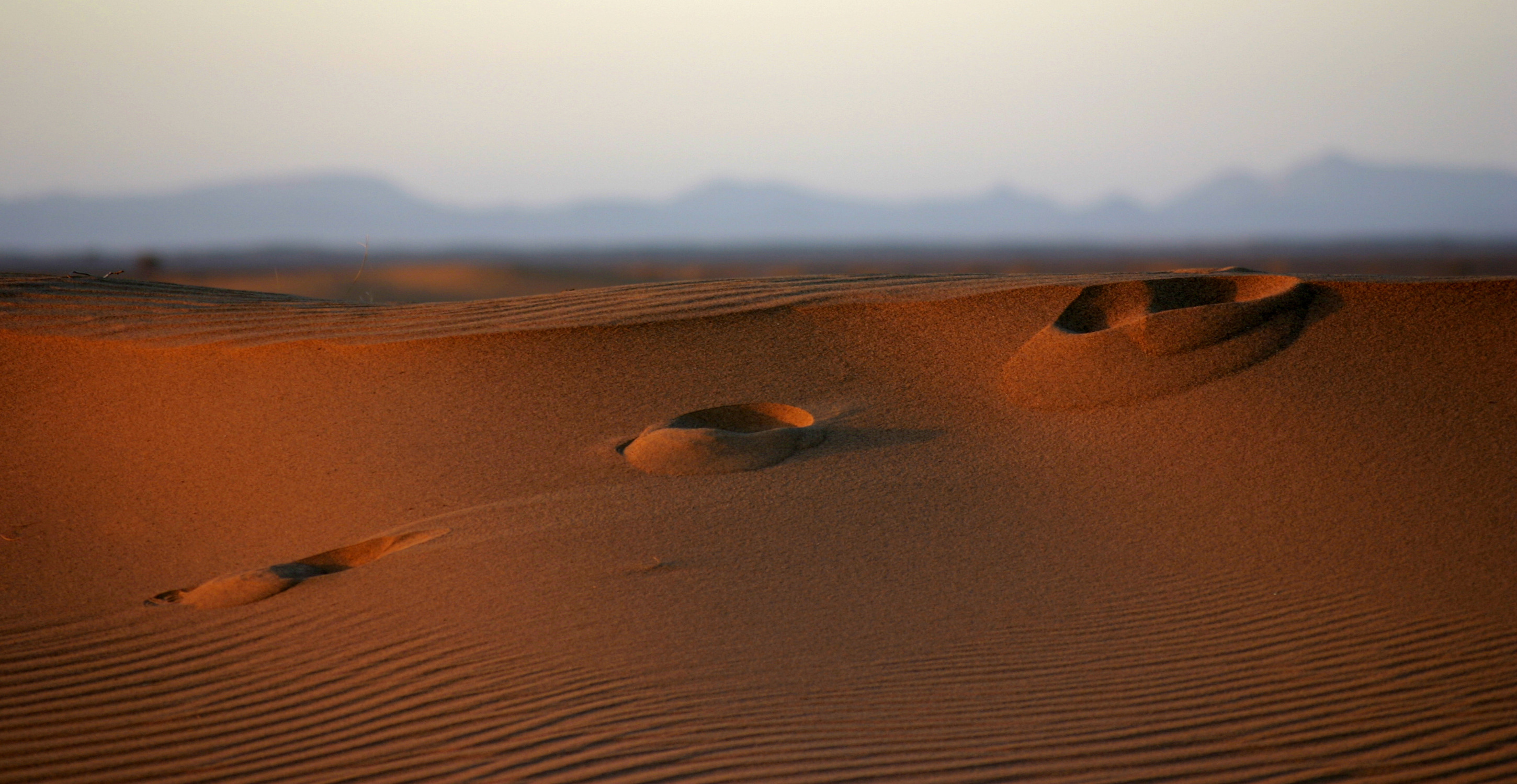 High Definition Image Of Widescreen Wallpaper Photo Macro Desert