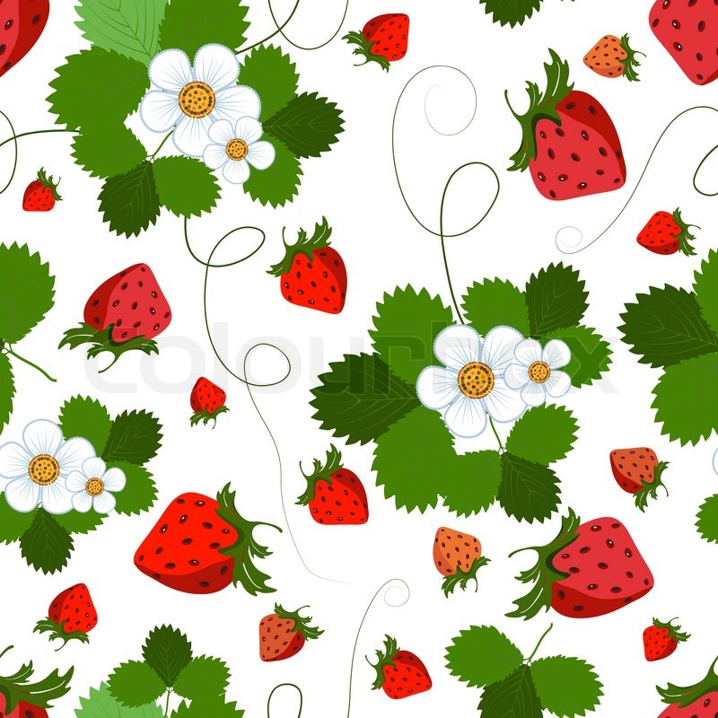 Strawberry Border Wallpaper Vector Of