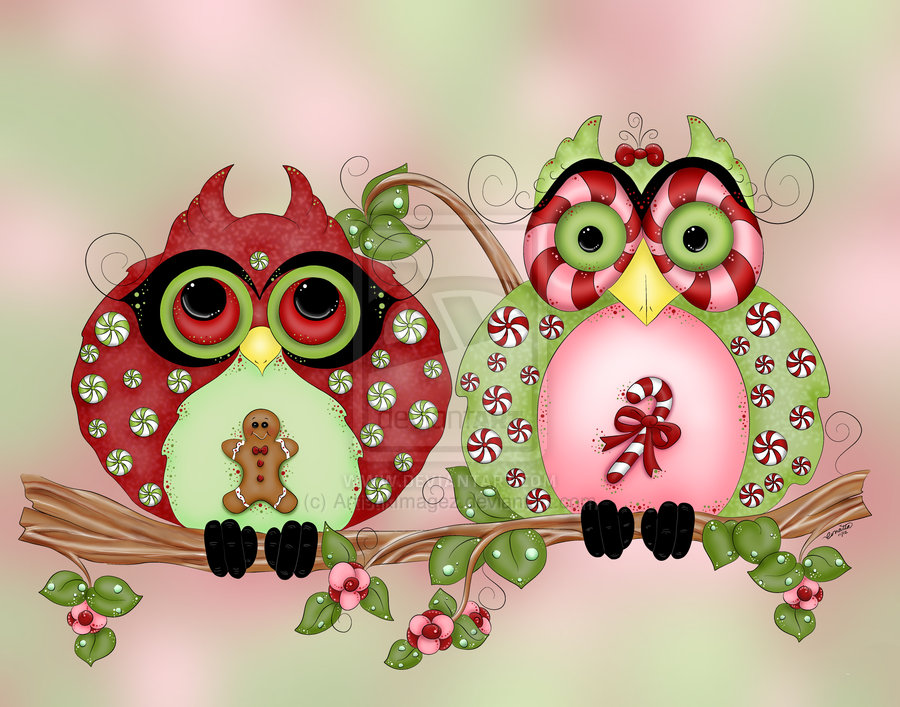 Mr And Mrs Christmas Sweets Fantasy Owl Art By Concettasdesigns On