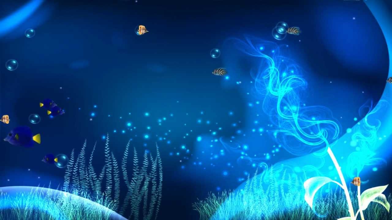 Ocean Adventure Aquarium Animated Wallpaper httpwwwdesktopanimated