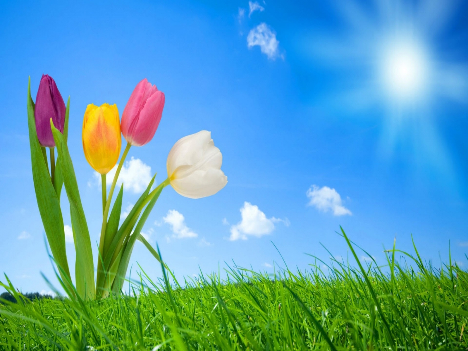 Click To Save Spring Background High Definition Wallpaper HD