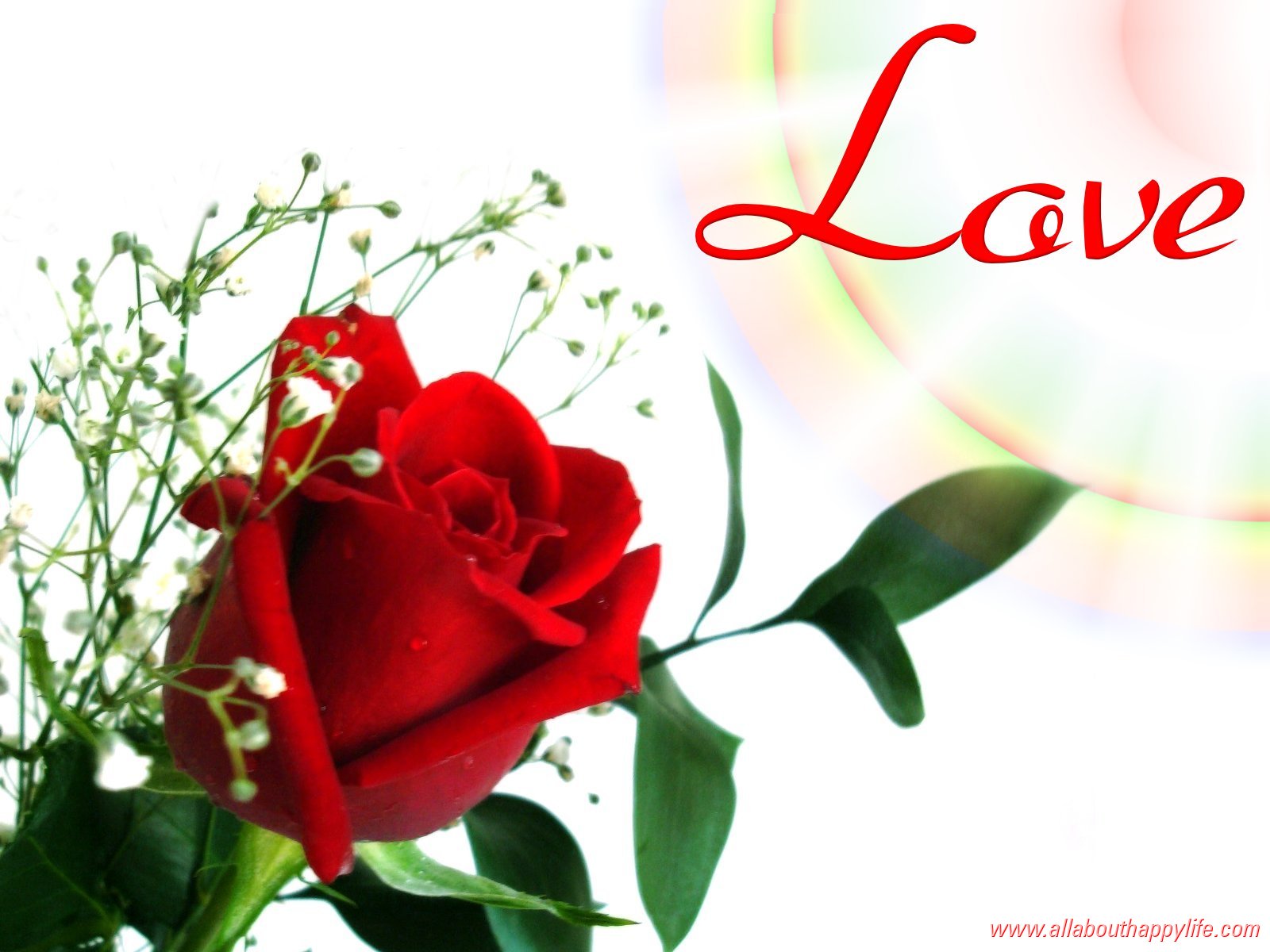 Red Roses and Hearts Wallpaper 45 pictures