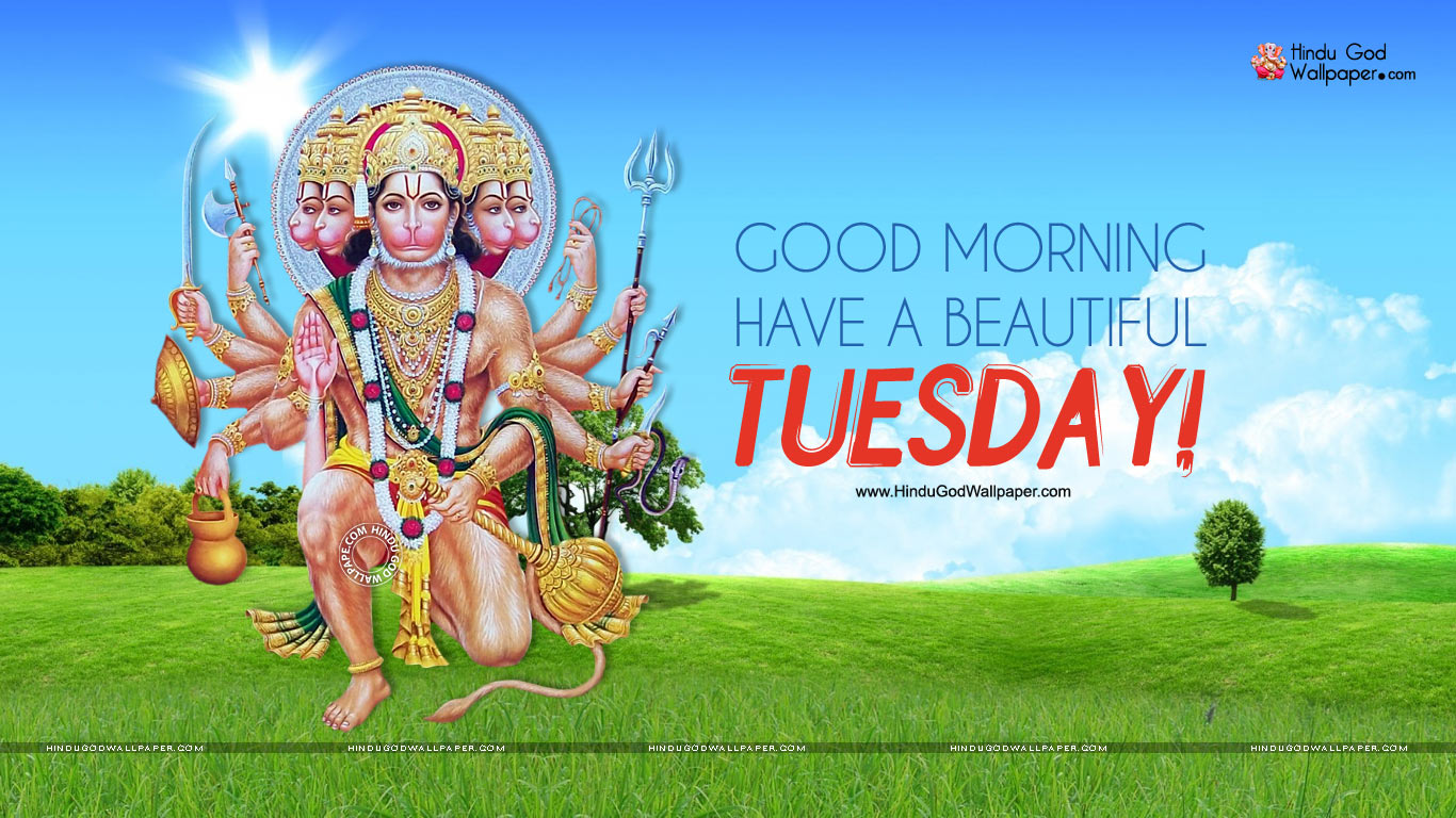 45 Happy Tuesday Morning Wishes - Quotes and Messages - Dreams Quote