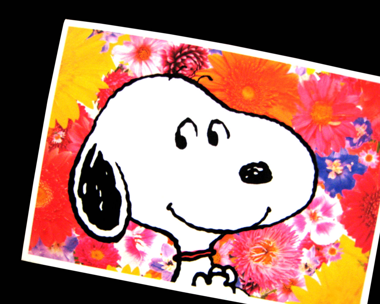 Snoopy Jpg Source Url Pcwalls Charlie Brown