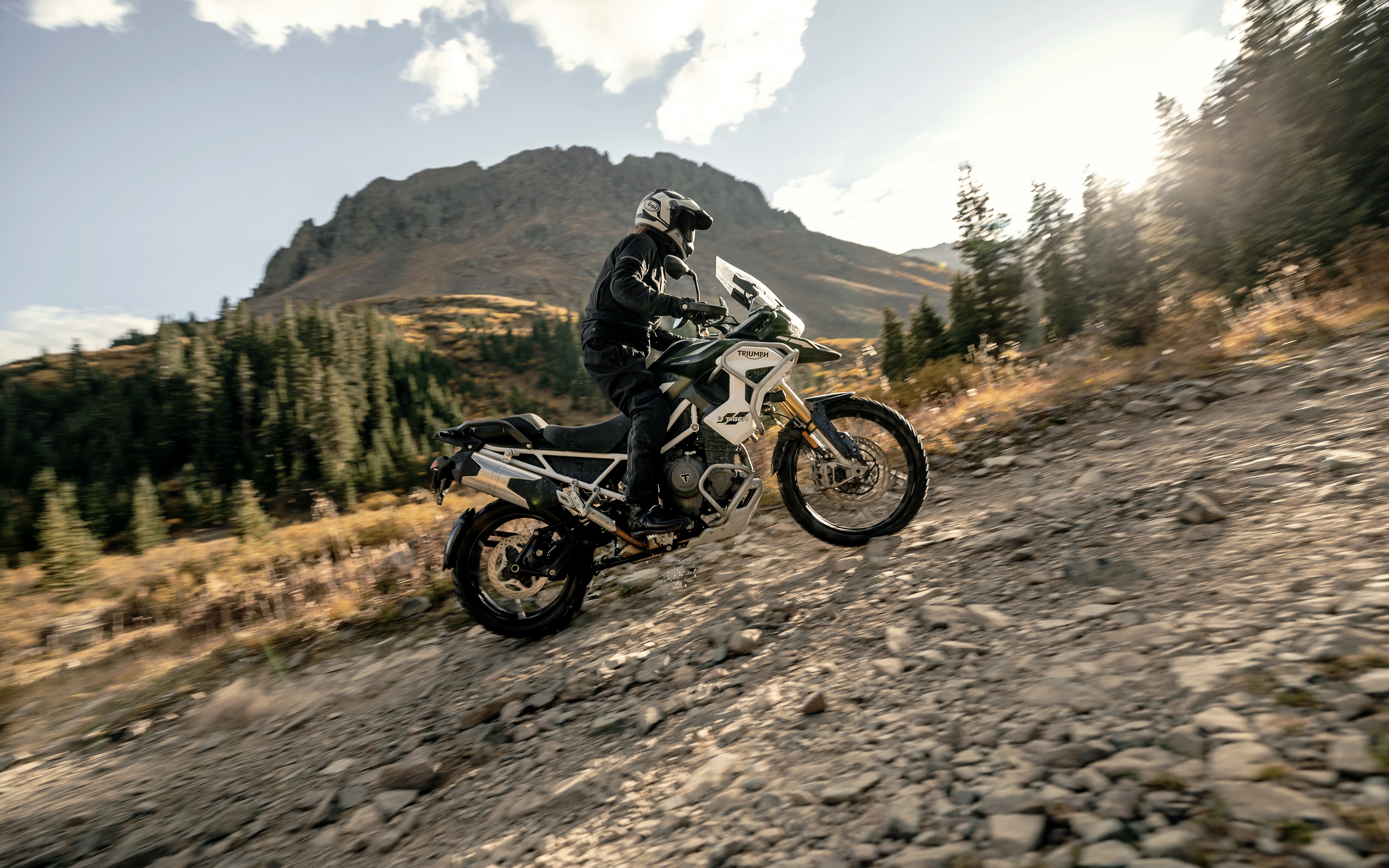 4k Triumph Tiger Rally Pro Wallpaper Background Image