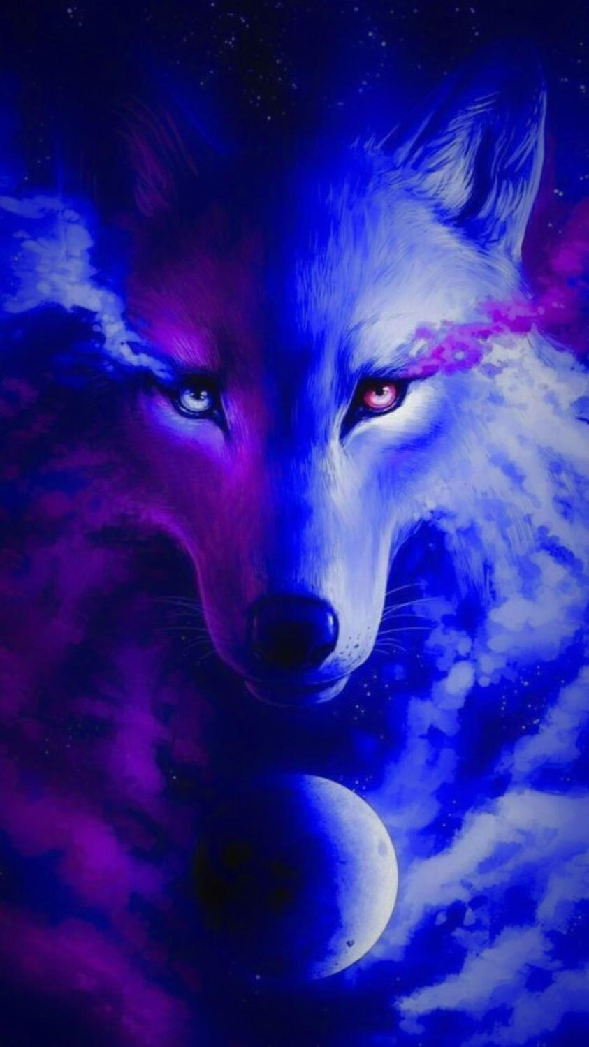 Wolf Wallpaper Top Best Hq