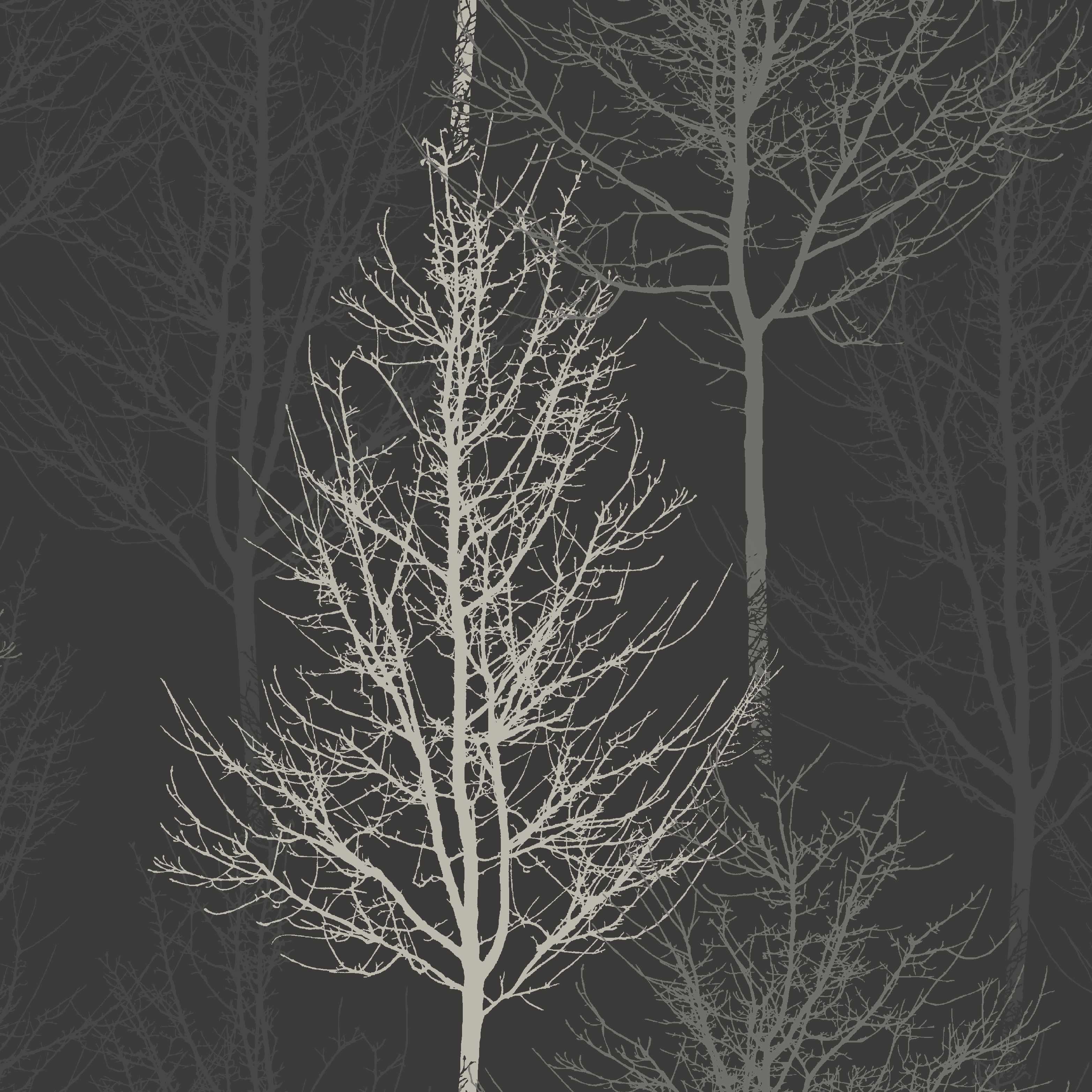 Bowland Features Wintry Black And Silver Trees On A Dark Background It