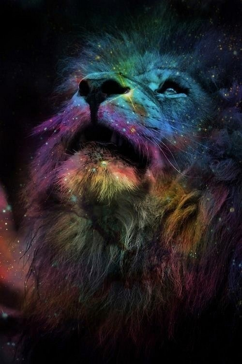 Galaxy Lion Lions Rainbow Roar
