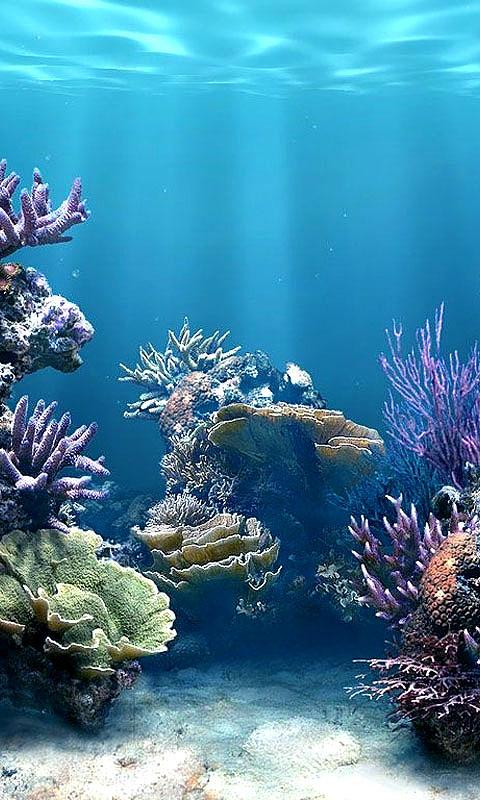 Coral Reefs HD Live Wallpaper Screenshot