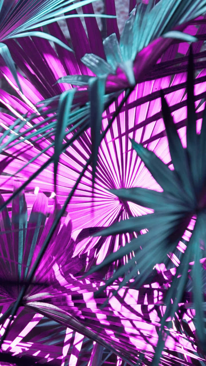Neon Green And Purple Wallpaper