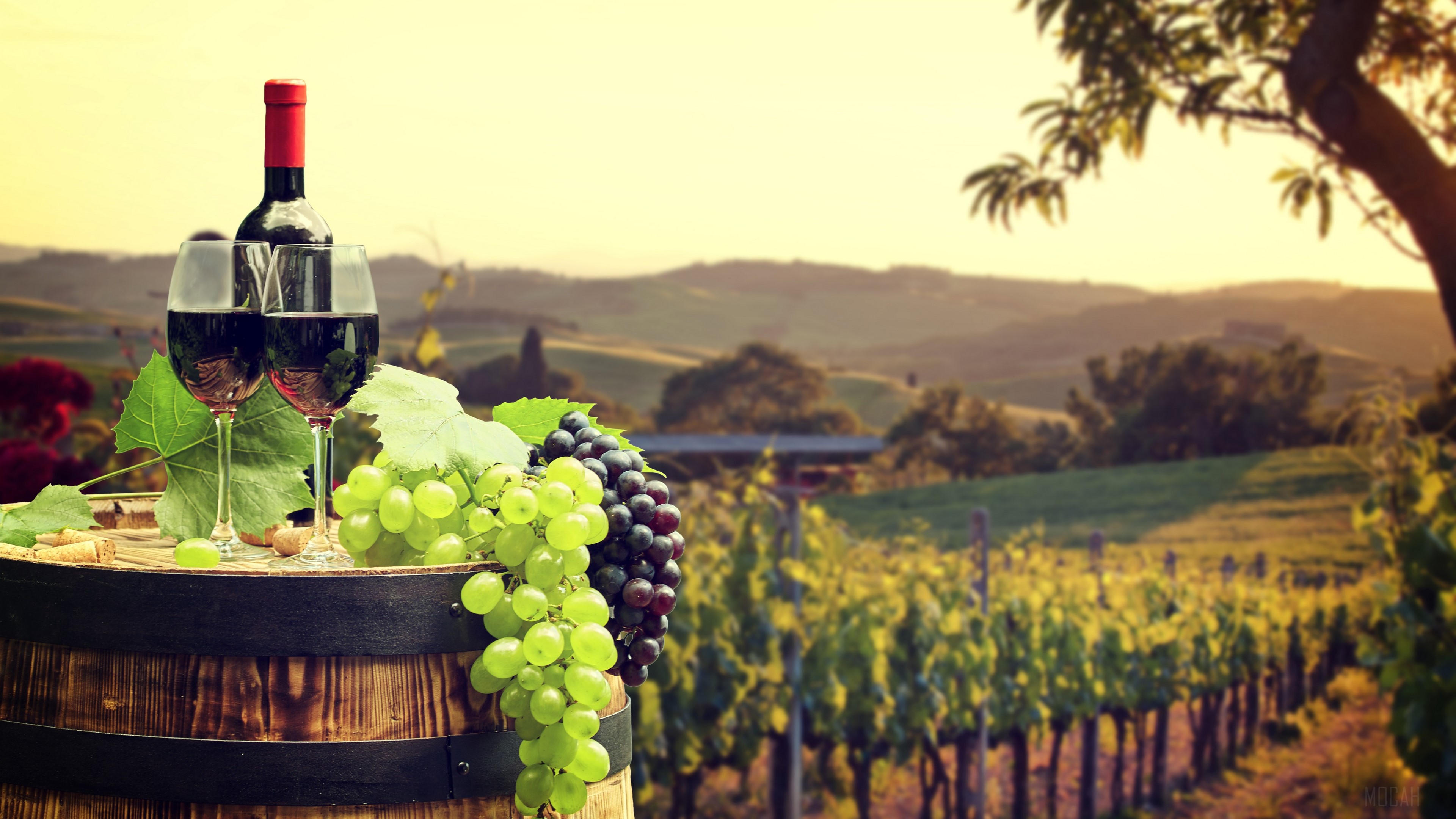 Barrel Glass Grapes Vineyard Wine 4k HD Wallpaper