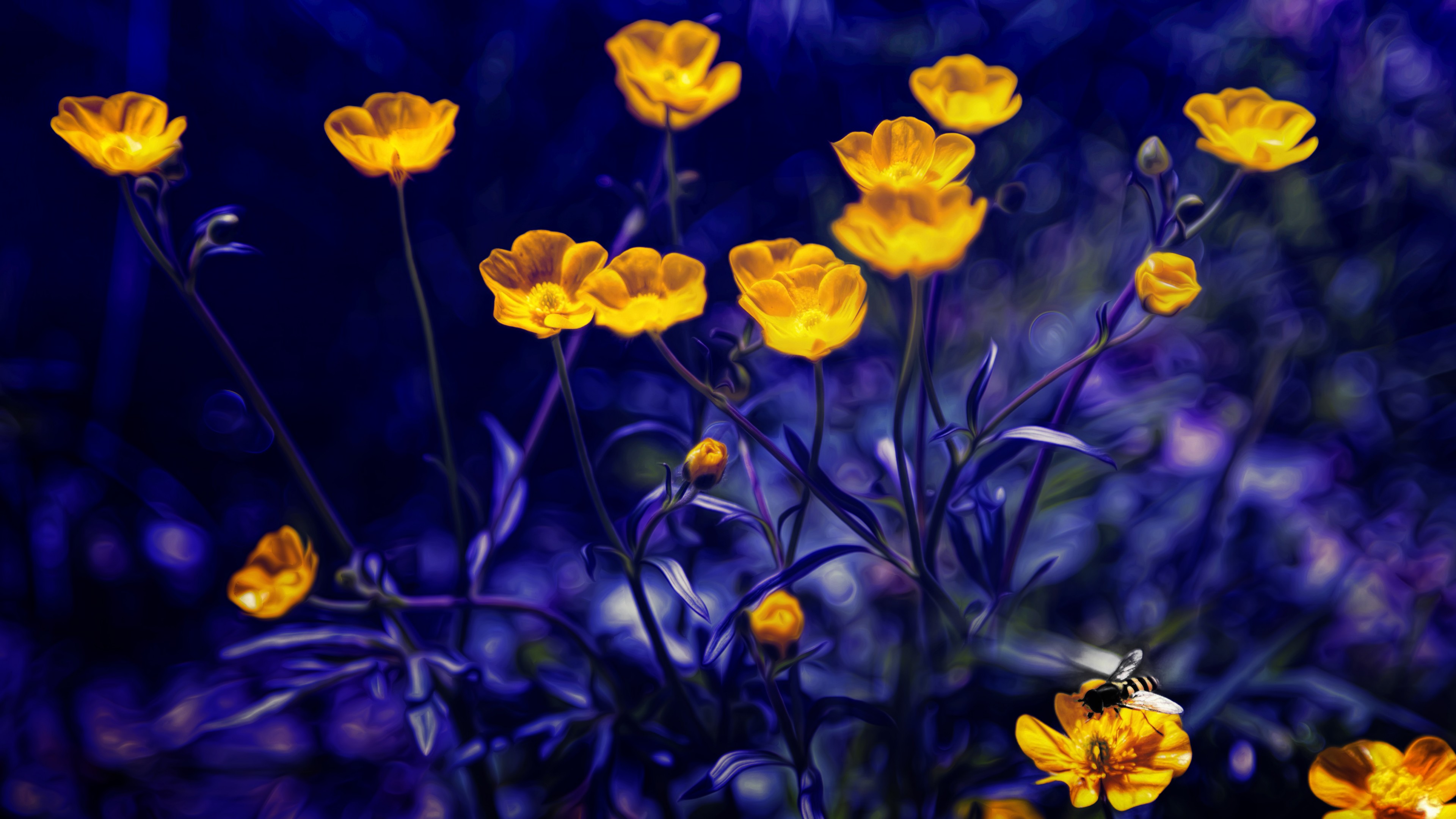 Wallpaper Buttercups 4k 5k Flowers Yellow Purple