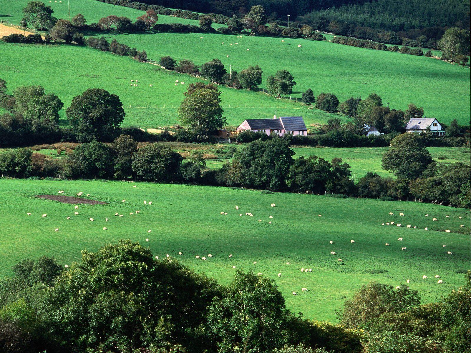 Ireland Photo Fields And Farmhouses Of County Cork Wallpaper