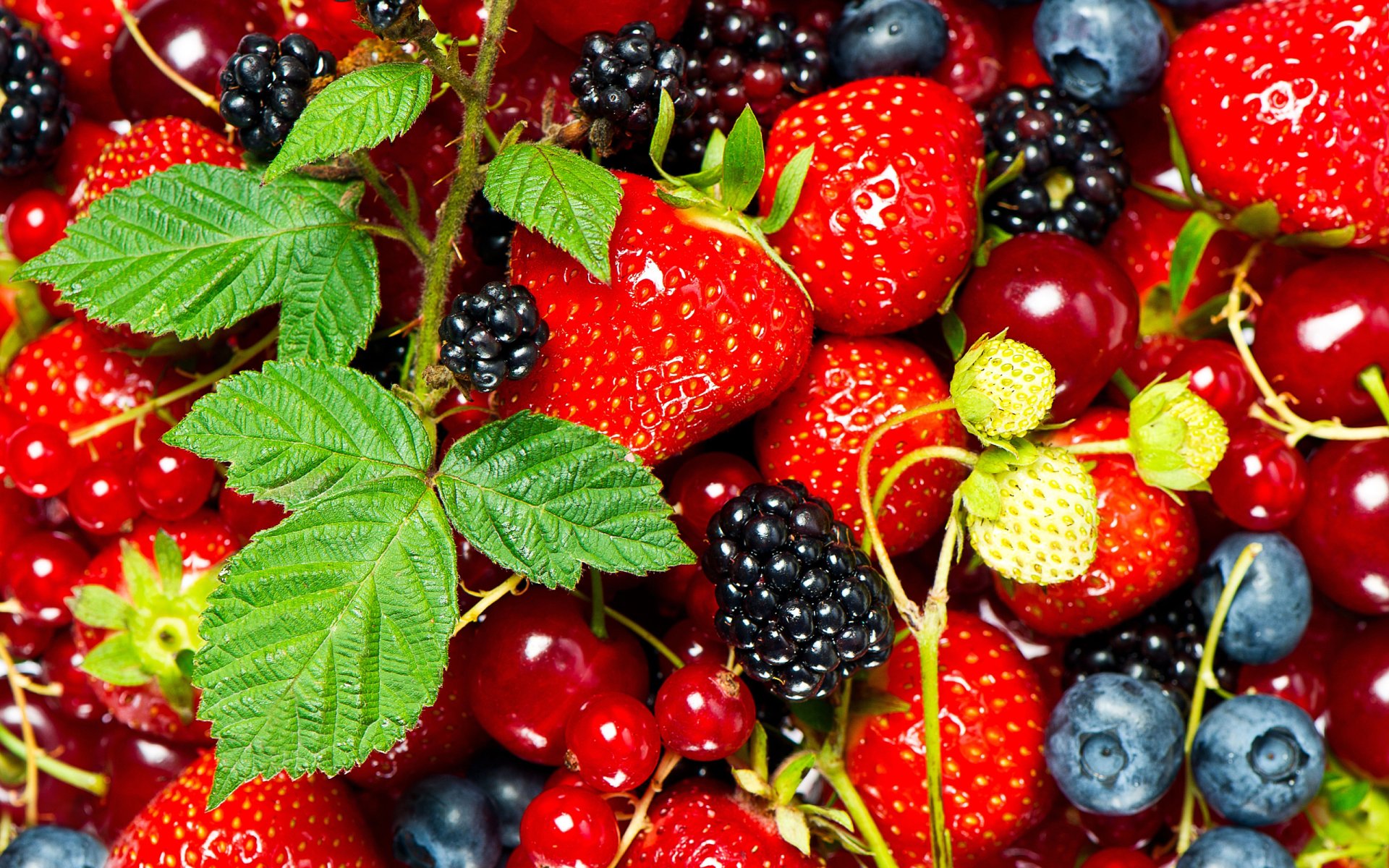 Food Berry HD Wallpaper