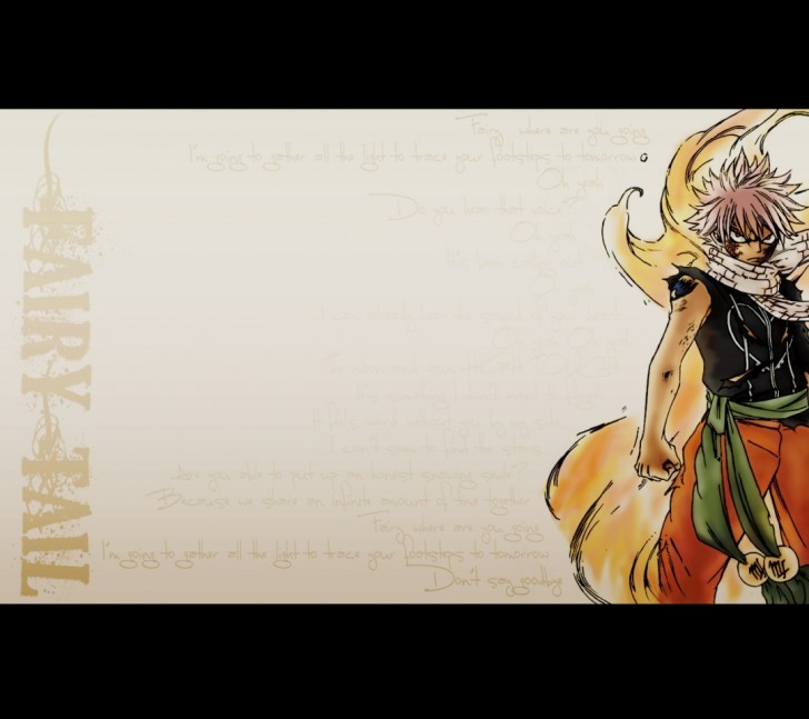 Fairy Tail Dragon Slayer Gajeel Hd Wallpaper Wallpaper Anime 27316