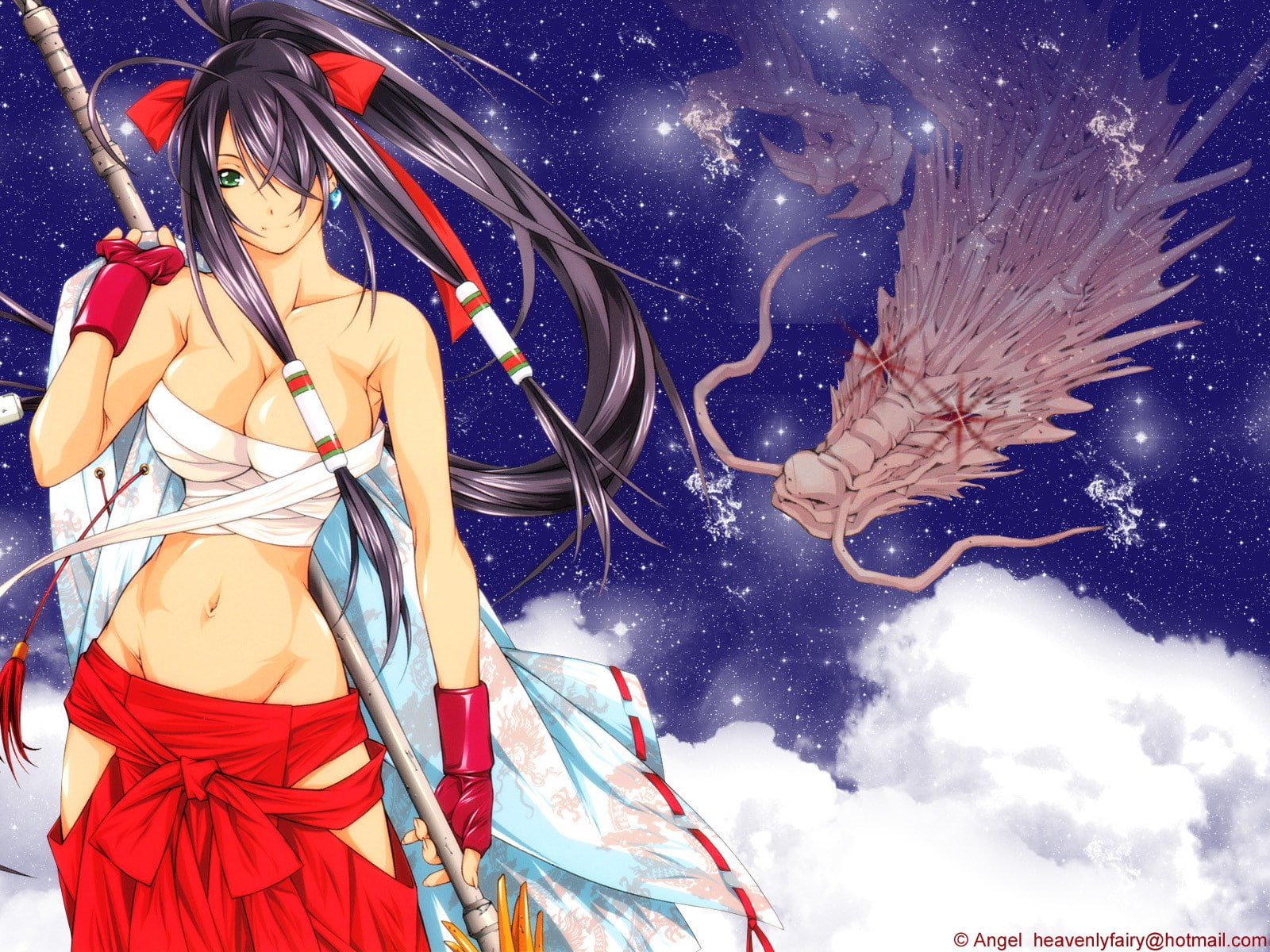 Ikki Tousen HD Wallpaper