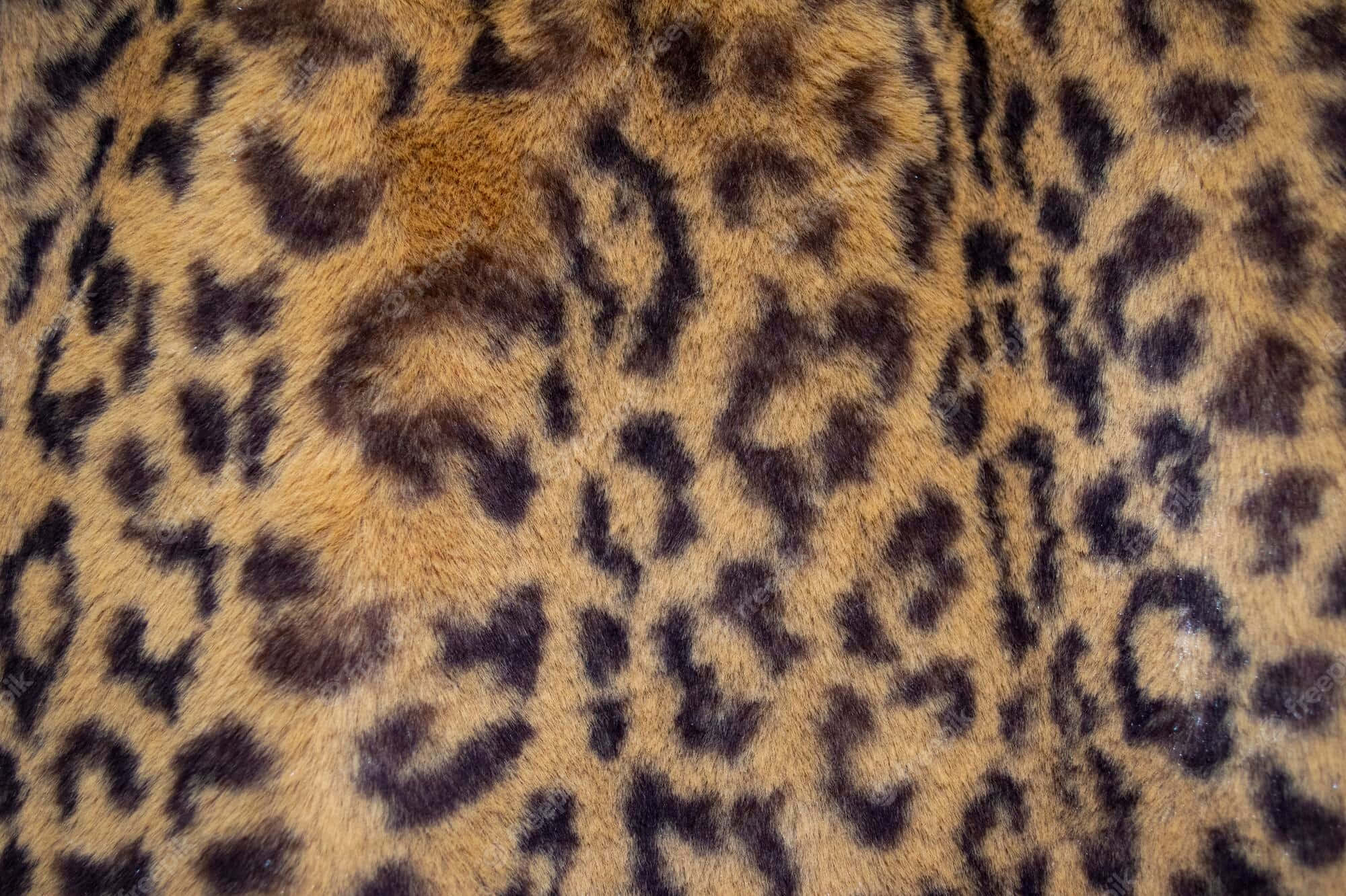 Animal Fur Picture Wallpaper