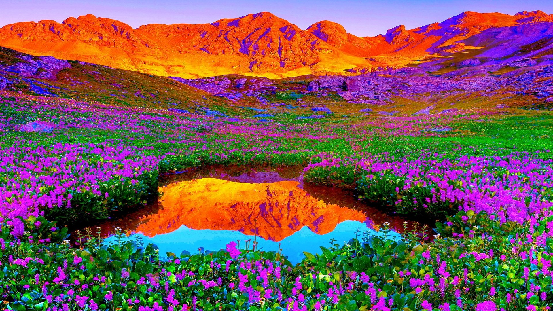 Vivid Mountain Landscape with Vibrant Wildflowers and Reflective Pond