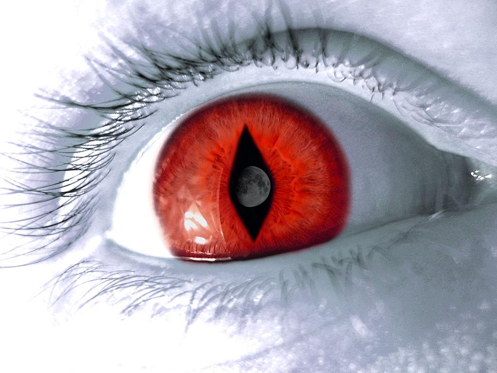 Red Eye Wallpapers