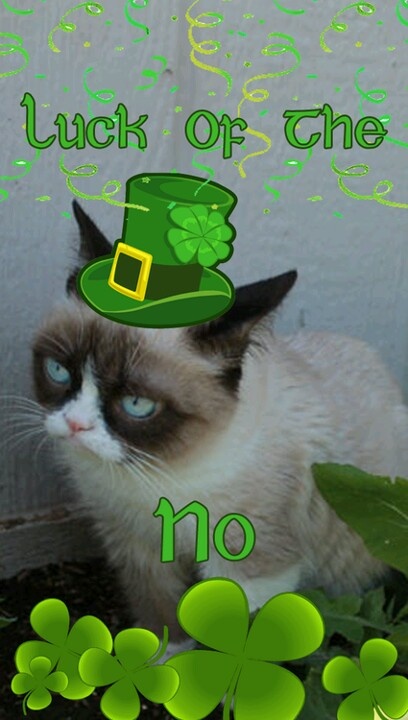 Happy St Patrick S Day Church Of Grumpy Cat