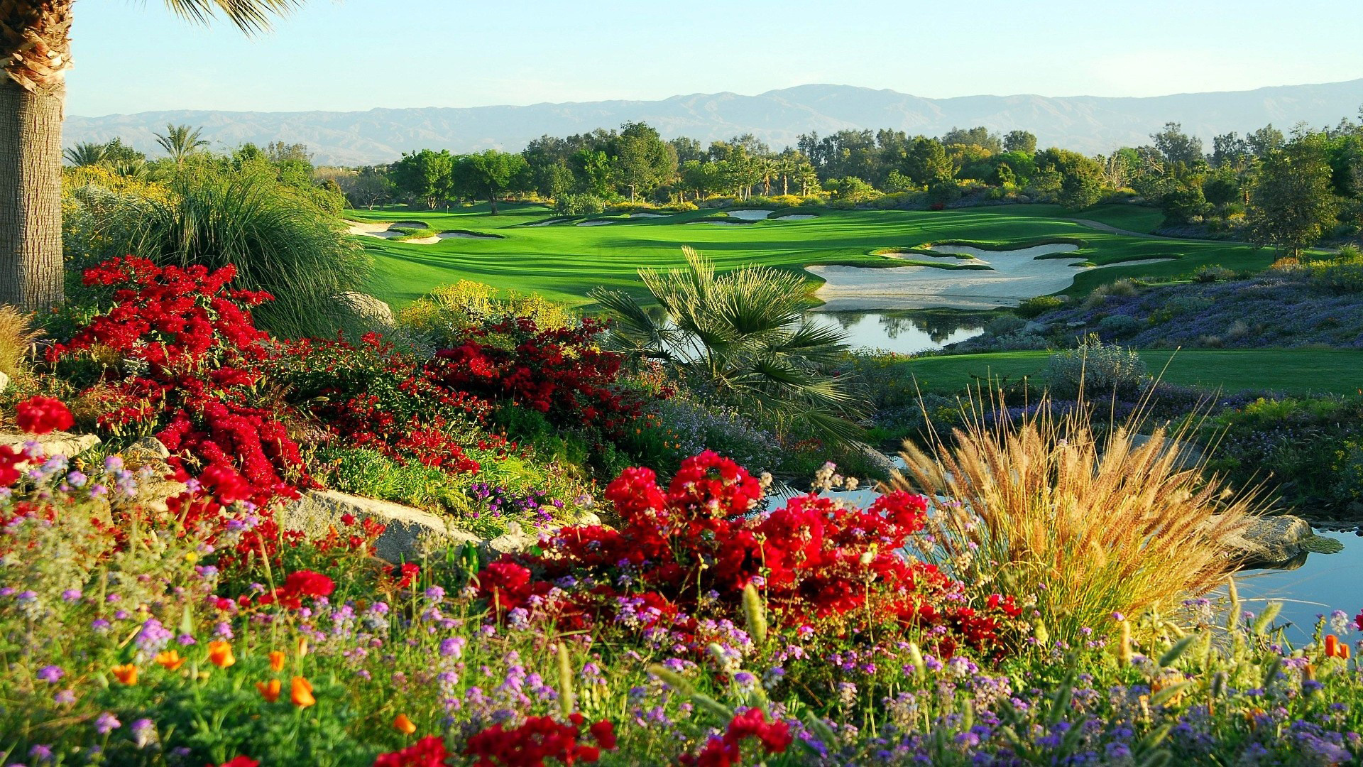 Golf Course HD Wallpaper Background Image Id