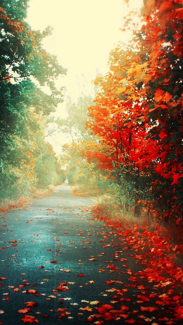 Beautiful Autumn Wallpaper Fall