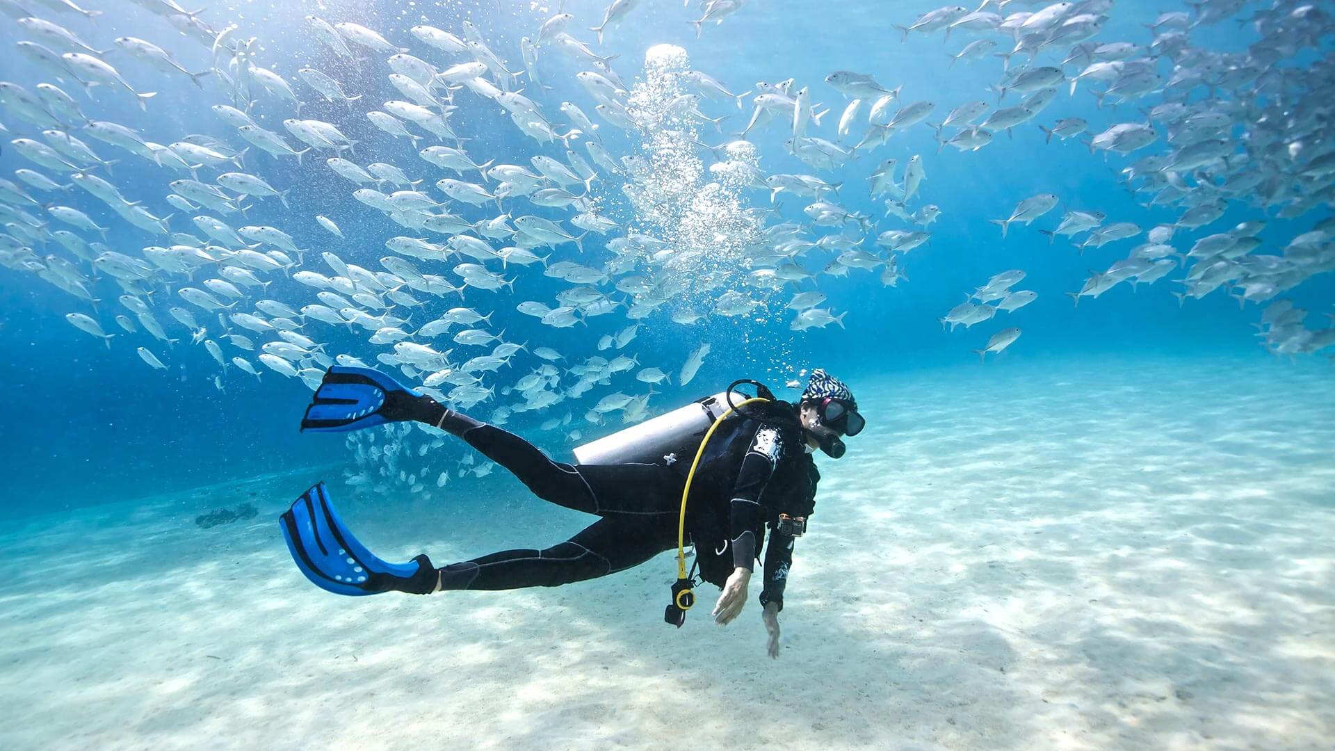 Best Scuba Pro Wallpaper Mac