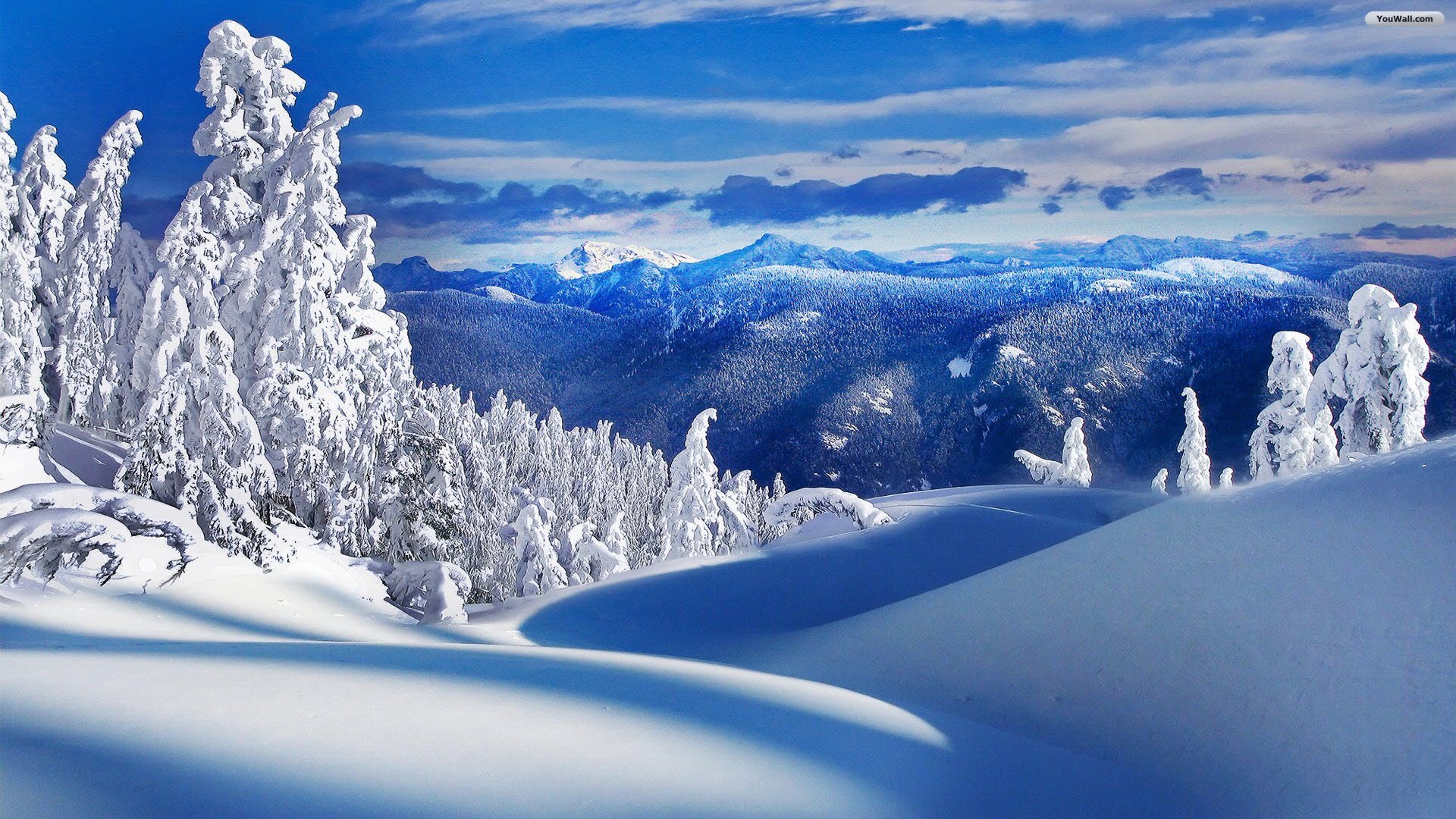 A breathtaking winter landscape with snow-covered trees and mountains under a clear blue sky