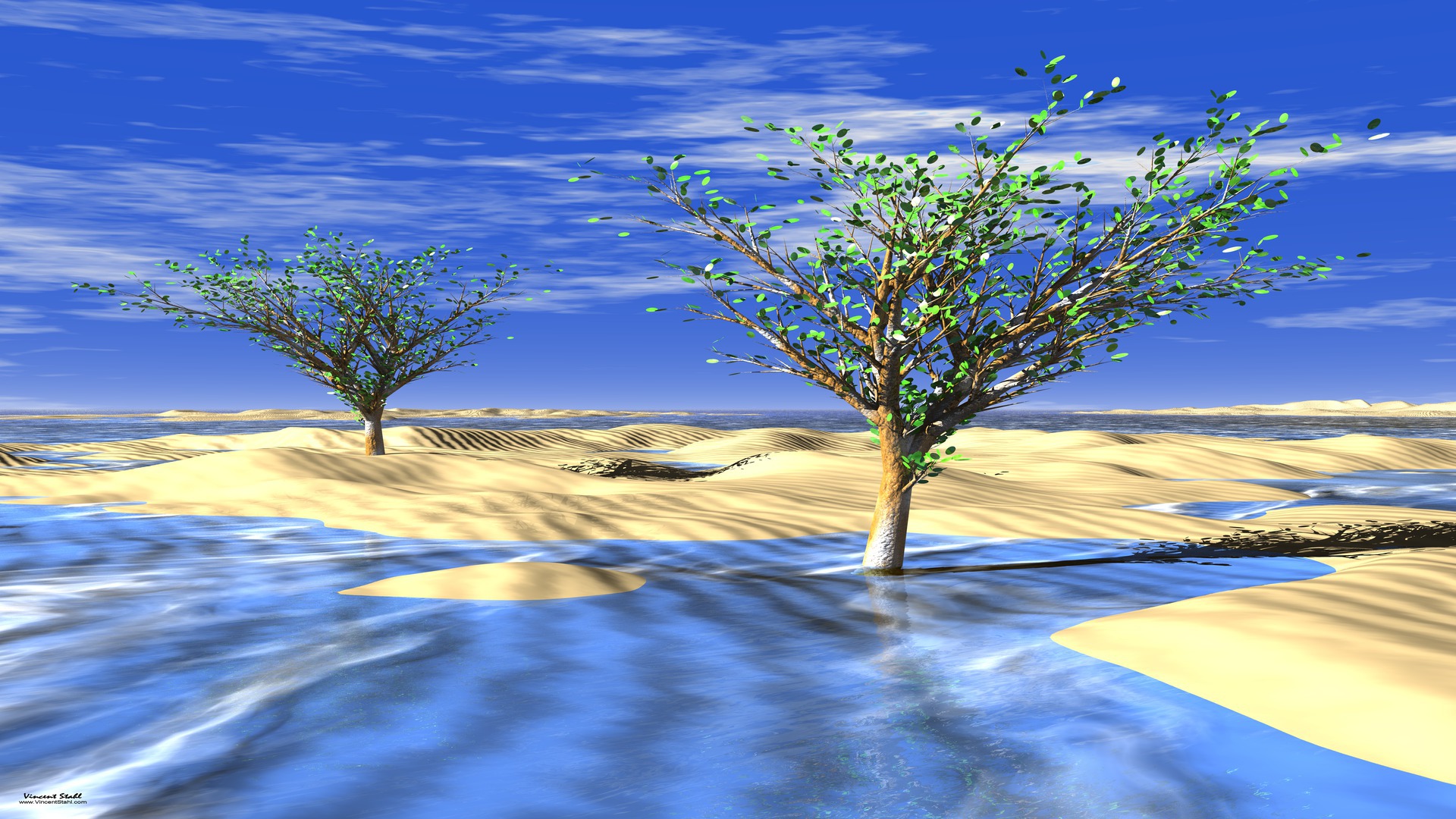 Desert Trees Wallpaper