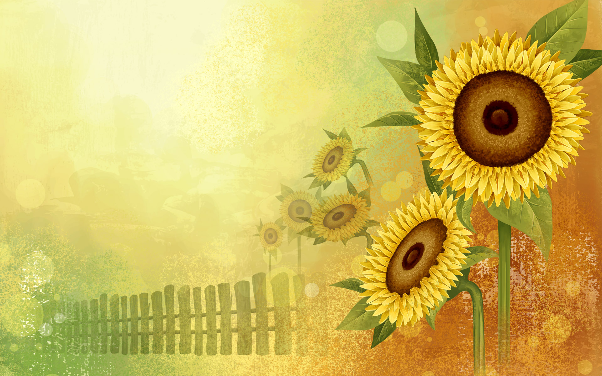 Sunflower Wallpaper And Image
