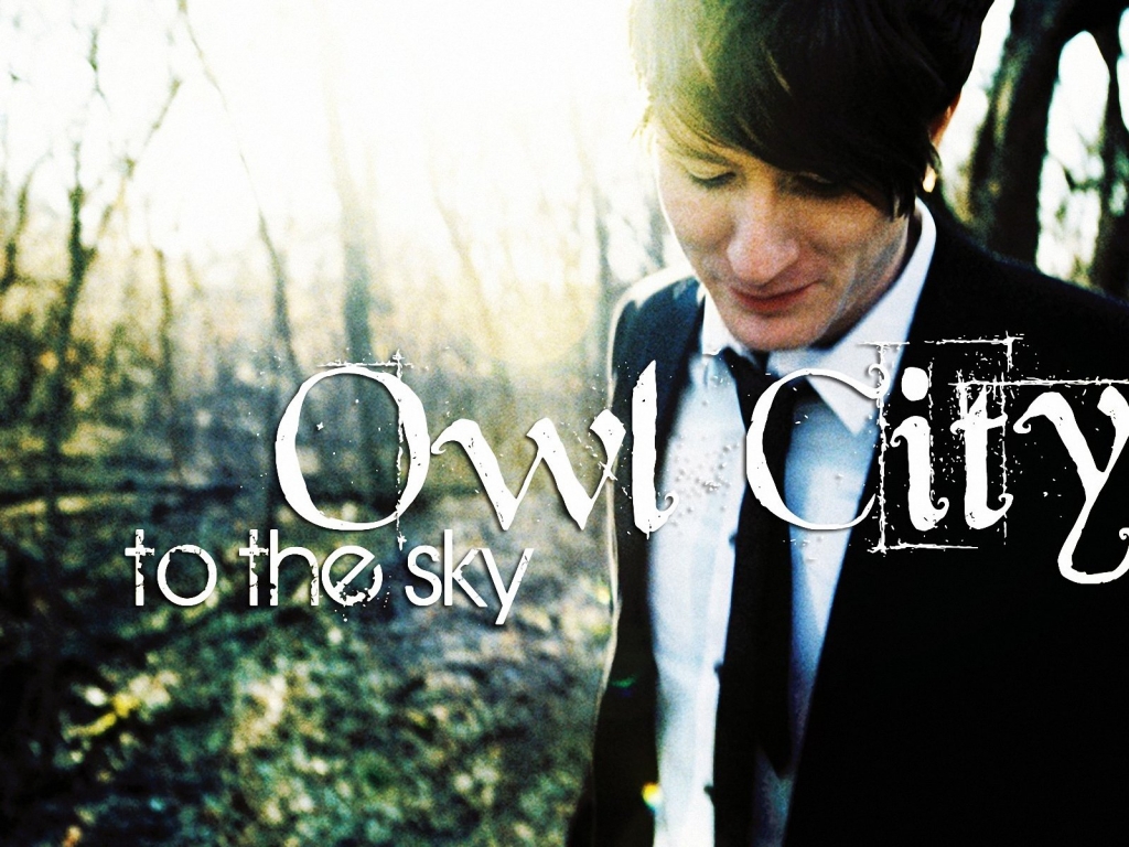 Owl City Wallpaper Pictures