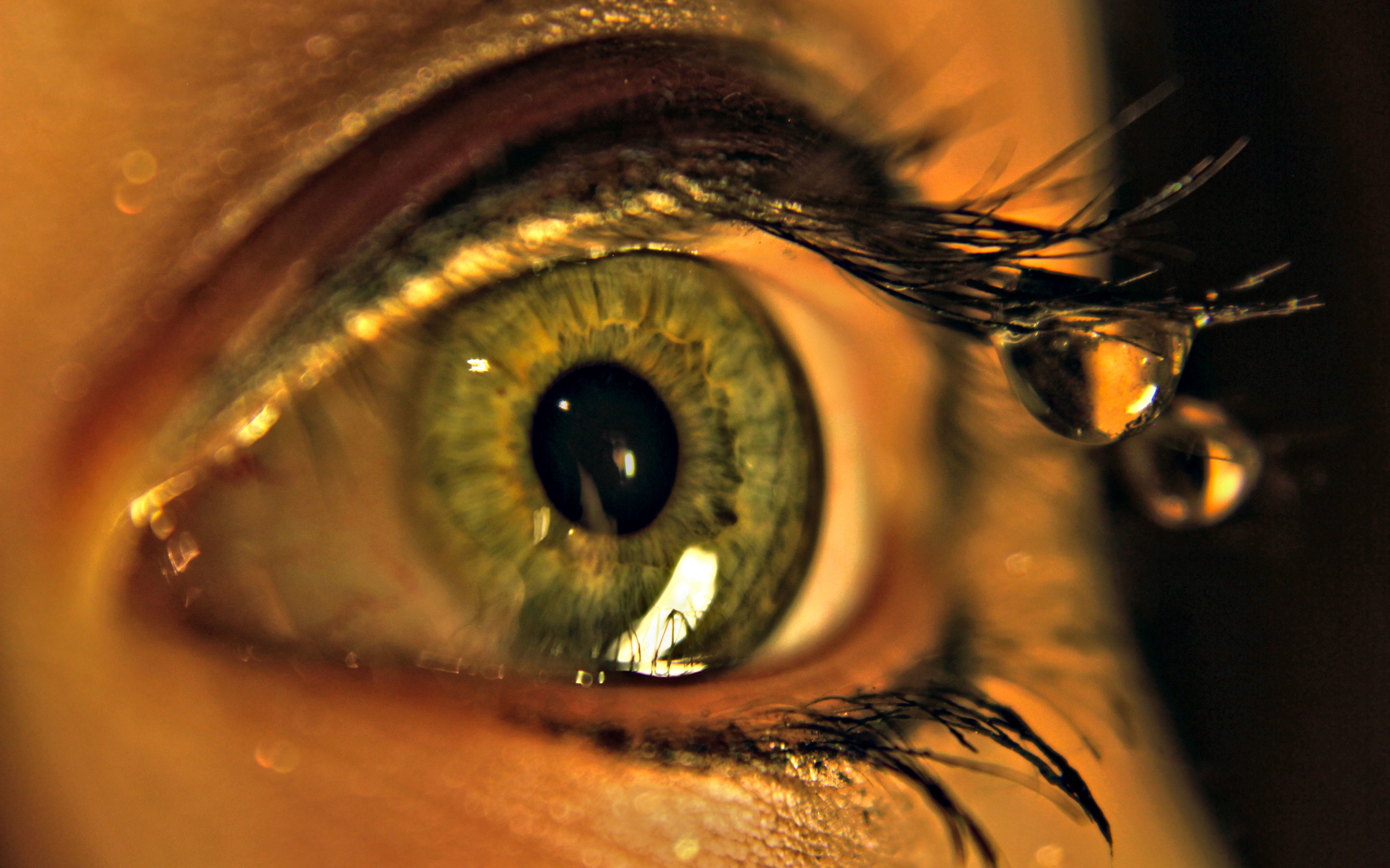 Eye 4k Ultra HD Wallpaper And Image